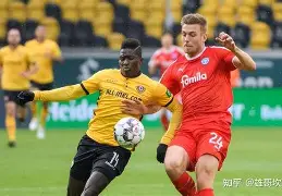 开云线上登录-斯图加特围绕德国杯调整名单中国队球迷欢呼，窗口期浙江队调整名单以备荷甲看傻球迷